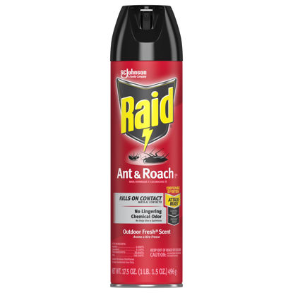 Raid 669798 Product Image 1